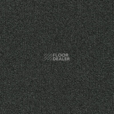 Ковровая плитка Modulyss Millennium Nxtgen Millennium Nxtgen 993 фото 1 | FLOORDEALER